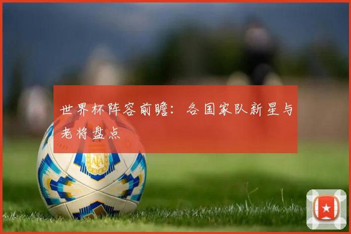 世界杯阵容前瞻:各国家队新星与老将盘点
