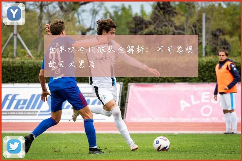 世界杯冷门球队全解析：不可忽视的五大黑马